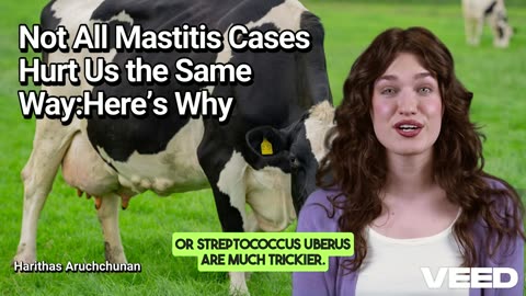 Not All Mastitis Cases Hurts Us the Same Way