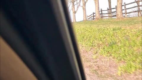 PA