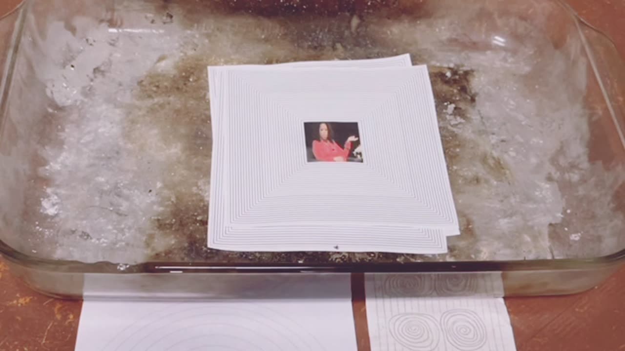 Tim Rifat TikTok Videos