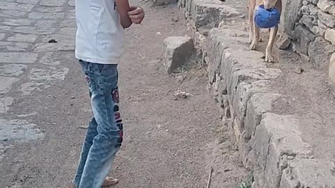 Child vs Dogs 🐶 "बच्चे और कुत्ते की प्यारी दोस्ती 😍 | Cute Baby and Dog Playing Together"