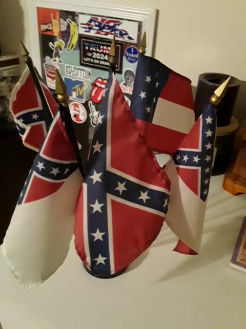 All the flags of the Confederacy