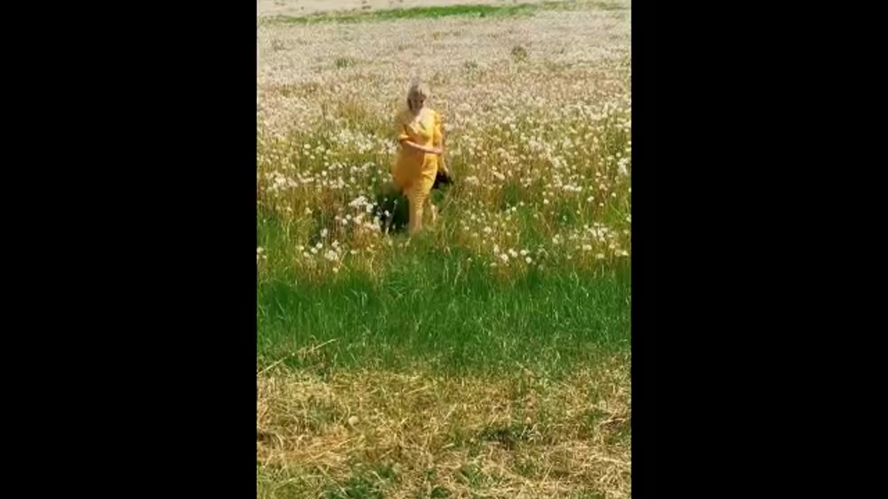 Artık Sevmeyeceğim