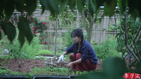 The life of taro…and pepper is today’s treat