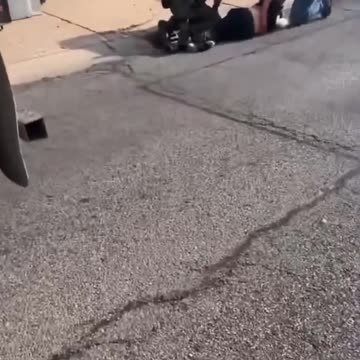 Illegal Immigrant Drags Agent, Shot Dead in Chicago Suburb