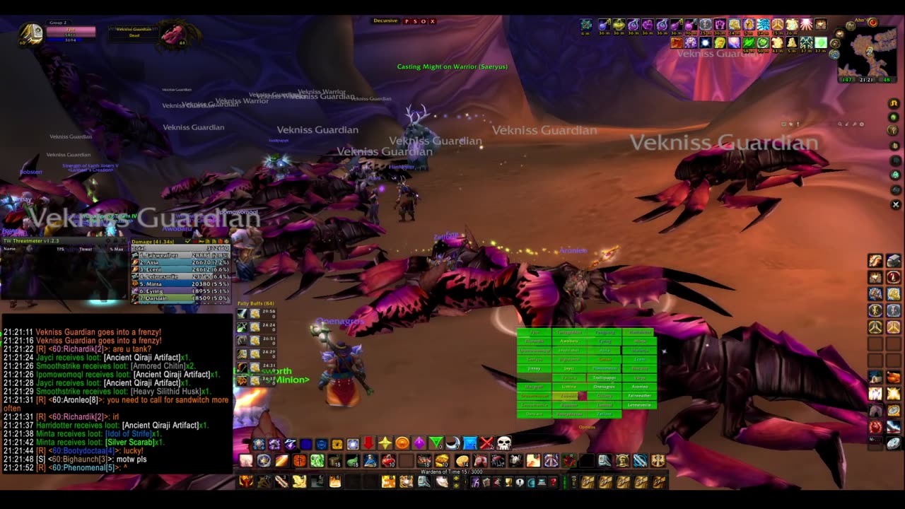 Turtle Wow - MM weekly AQ40 - 24 June - paladin POV