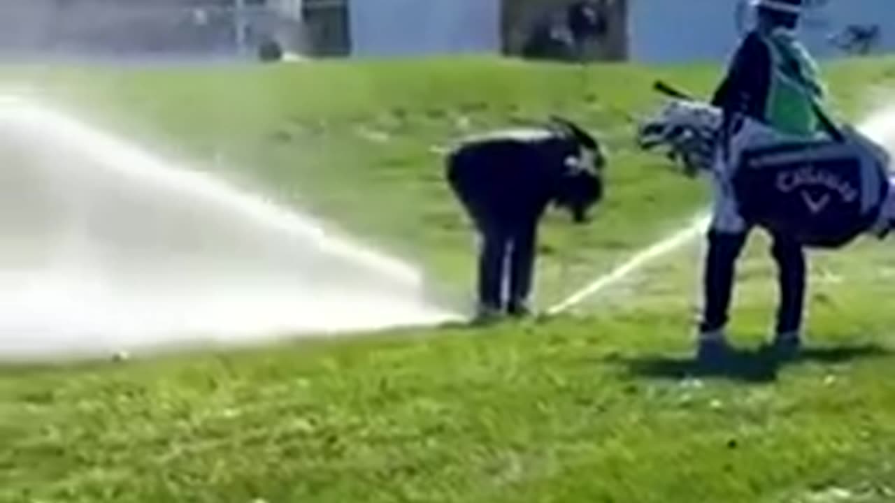 😂😡 When You Just Have to Throw a Tantrum! Epic Fail | FunFM