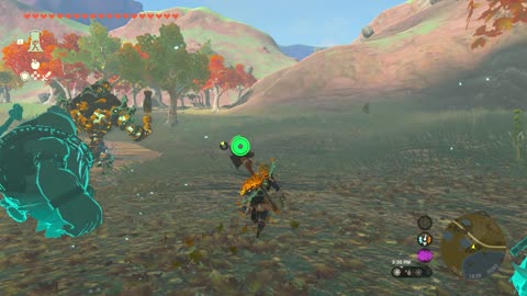 yiga schematic