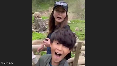 The Funniest Animals On The Internet 😂 NEW Funny Animal Videos 2026!