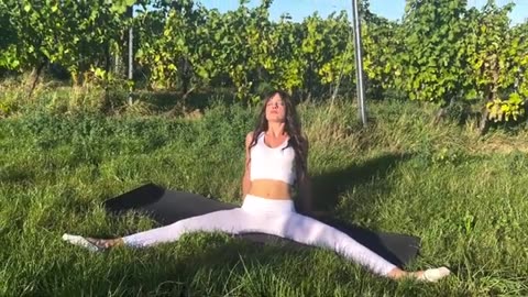 Intense stretching exercises in the vineyards
