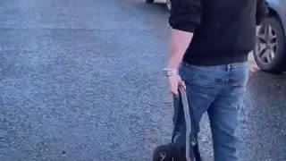 Amazing: How To Stop Leash Pulling