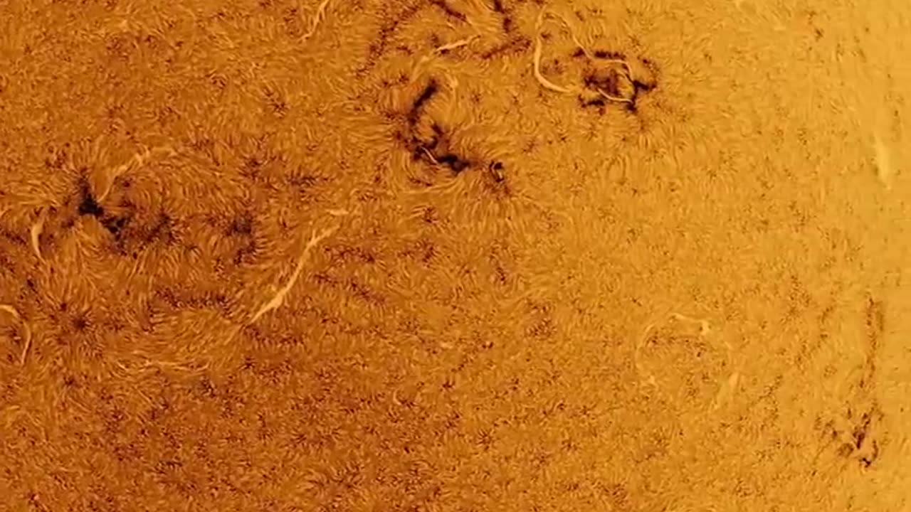 🌞🌌 This is how the surface of the sun looks like! | FeedMyCuriosity