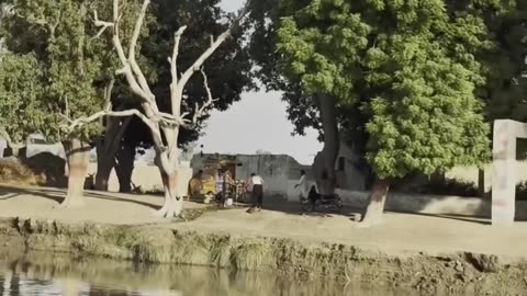 Naudero Rice Canal & Bridge #maxrecords #larkana #sindh #pakistan