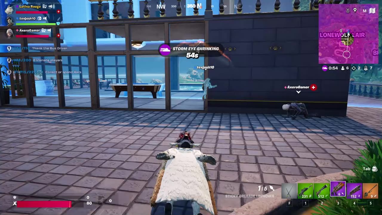 Fortnite 2025.03.14 - Wolfie Gernade luncher & Team mate victory