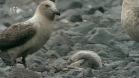 24 hodin v divocine - 4. díl