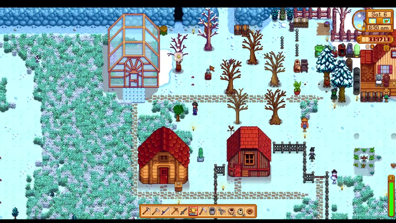 Stardew Valley: Year 2 Winter, and HSR.