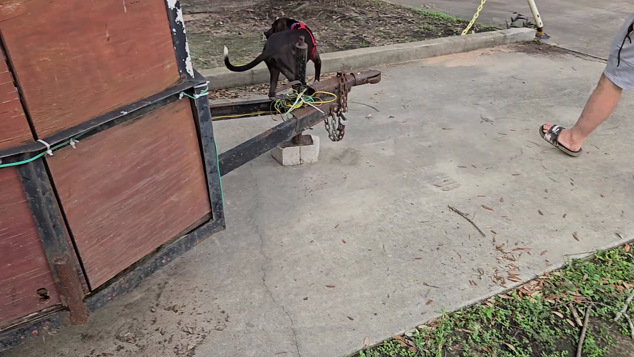 Trailer Issues