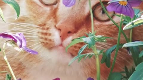 You are the Light and Love