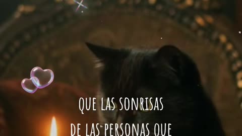 REFLEXIÓN ✨️ ✨️ ✨️