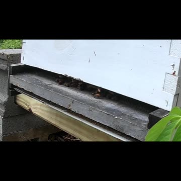 Tuesday Morning Sun Up