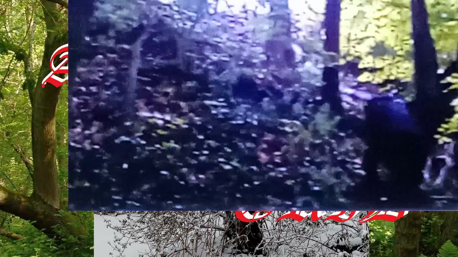 #review , #survival , #EDC , #tuber , trekking with