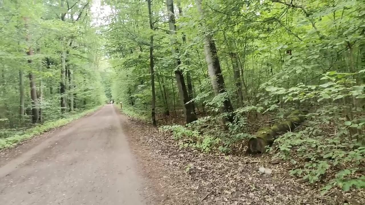 bliżej siebie ...