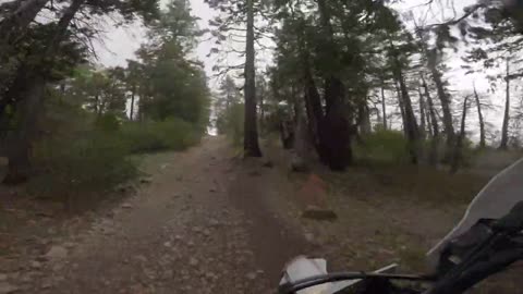 Pipi OHV Elkins Flats May 2021