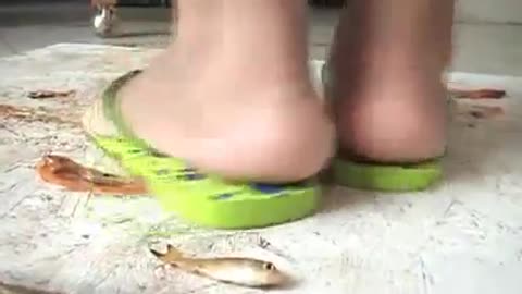Flip Flops & Fish