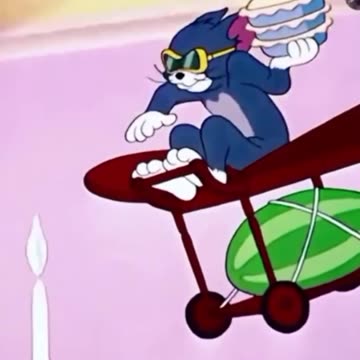 funny funny videos funny jokes funny animals funny memes funny movies funny bone funny pictures