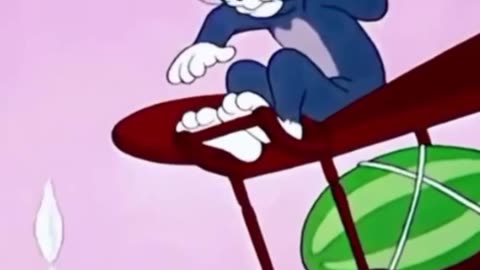 funny funny videos funny jokes funny animals funny memes funny movies funny bone funny pictures