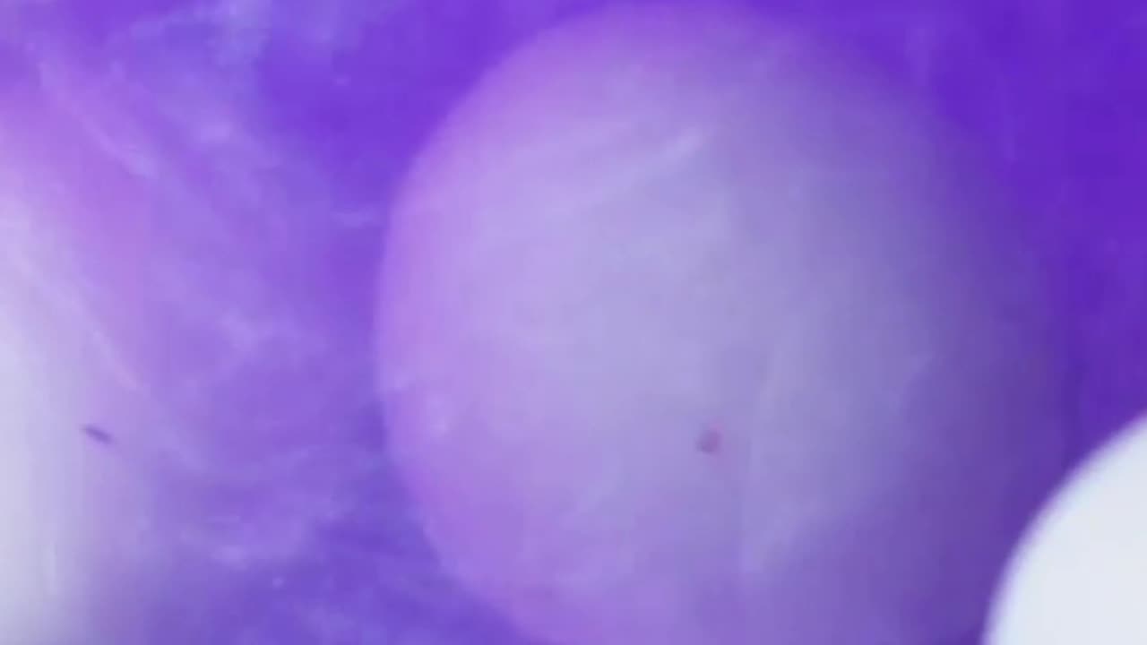 Why do old eggs float while fresh ones sink?