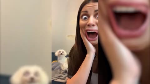Pets That Will Make You Laugh In 15 Seconds 2023 [Funny Pets]