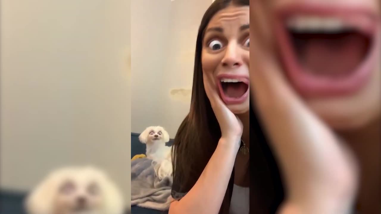 Pets That Will Make You Laugh In 15 Seconds 2023 [Funny Pets]