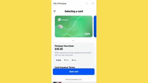 BIG MINI APP PINTOPAY