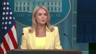 🚨🔥Karoline Leavitt says that a member of one of the foreign delegations in the..