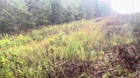 Exploring Pumpkinvine Trail