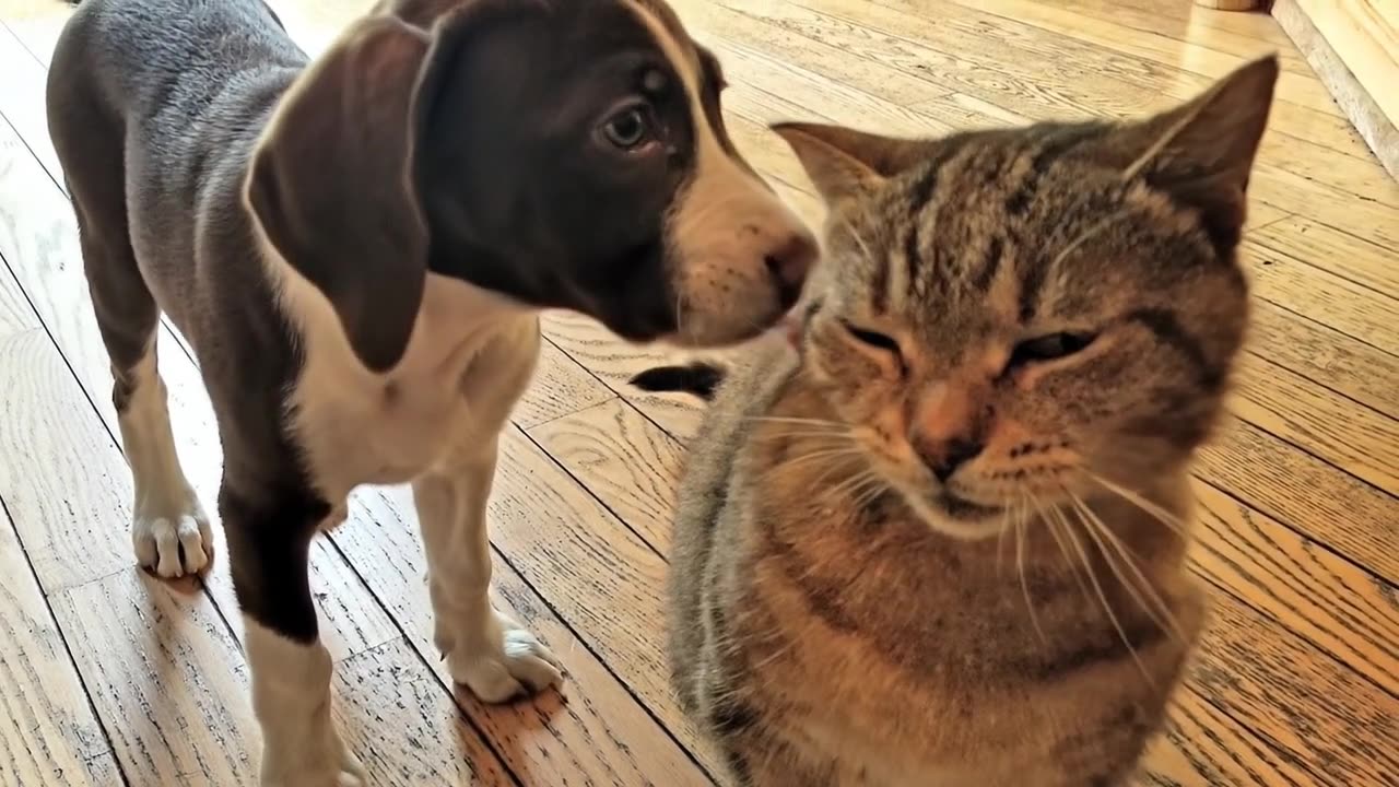 TUBBY'S GREATEST HITS
