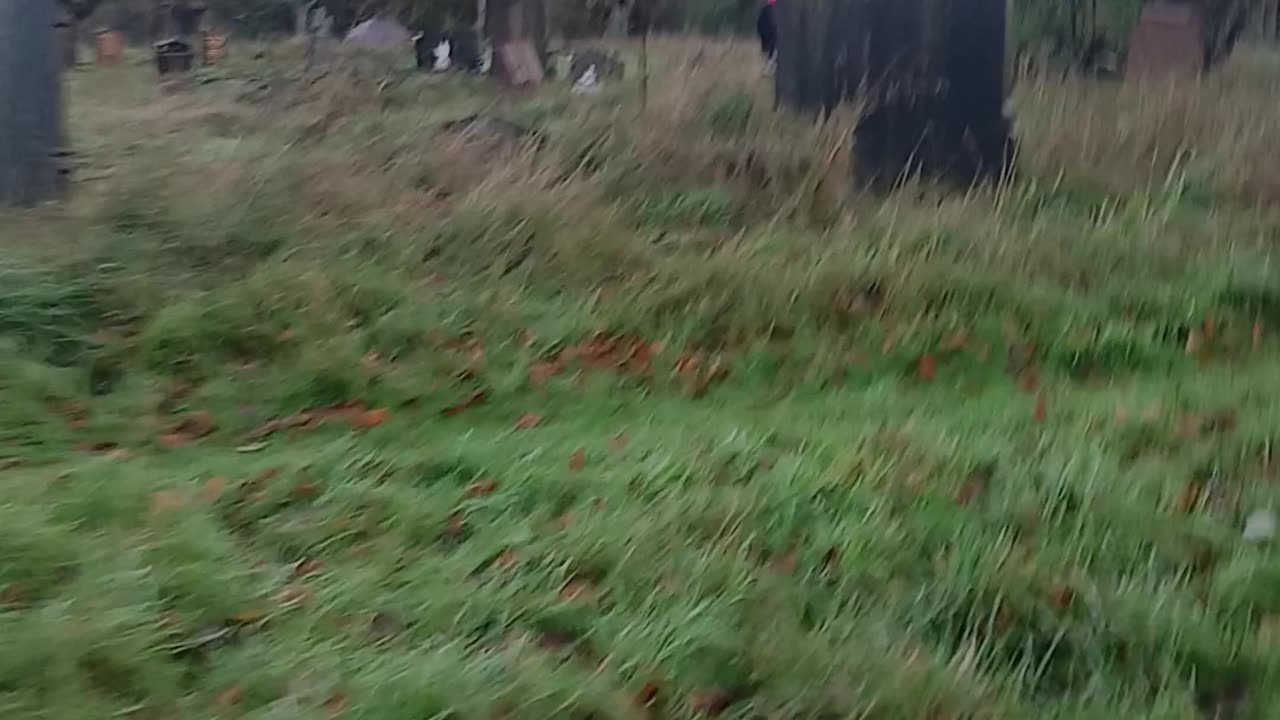Autumn Morning at the cemetery