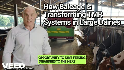 Baleage Meets TMR: A Game Changer for Modern Dairy Farming