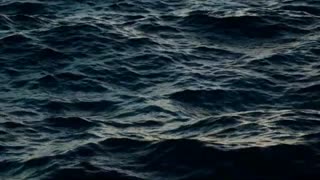 What Noah's Flood Was Not : Peter J Peters