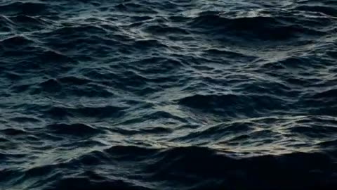 What Noah's Flood Was Not : Peter J Peters