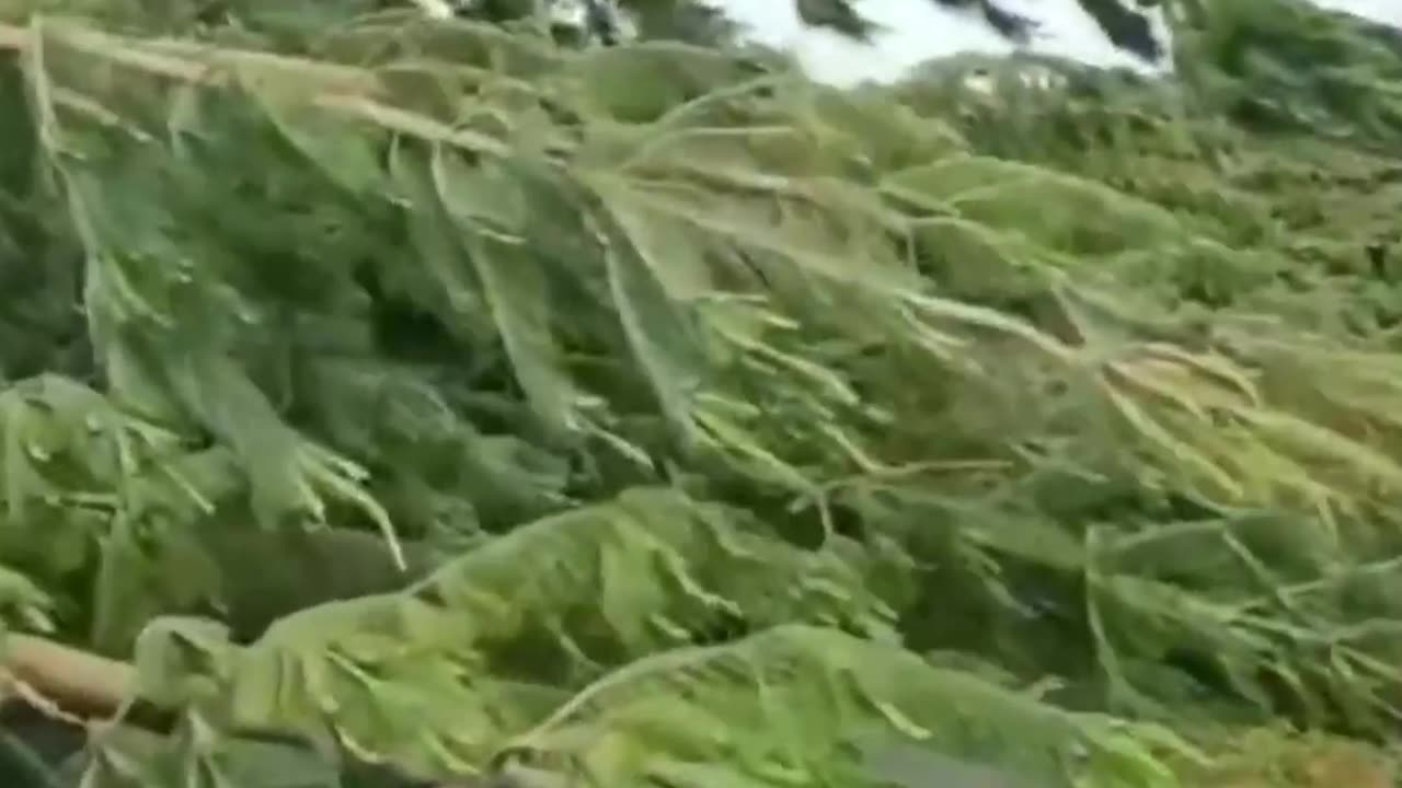 NOVÝ ZÉLAND - EXTRÉMNÍ BOUŘE 23.10.2025