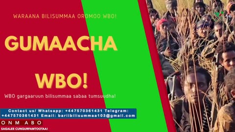 Gabaasa Gumaacha ONM-ABO Adoolessa 25-2025 itti dhiyaadhaa!