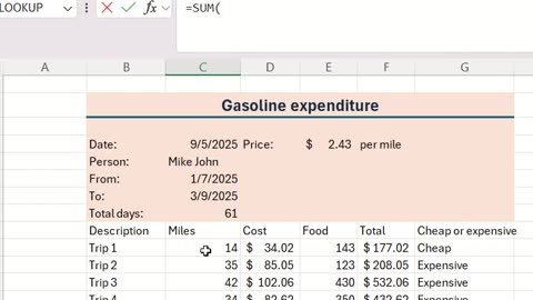 Microsoft Excel - Using some basic functions and formula: IF, SUM, PROPER and change number format
