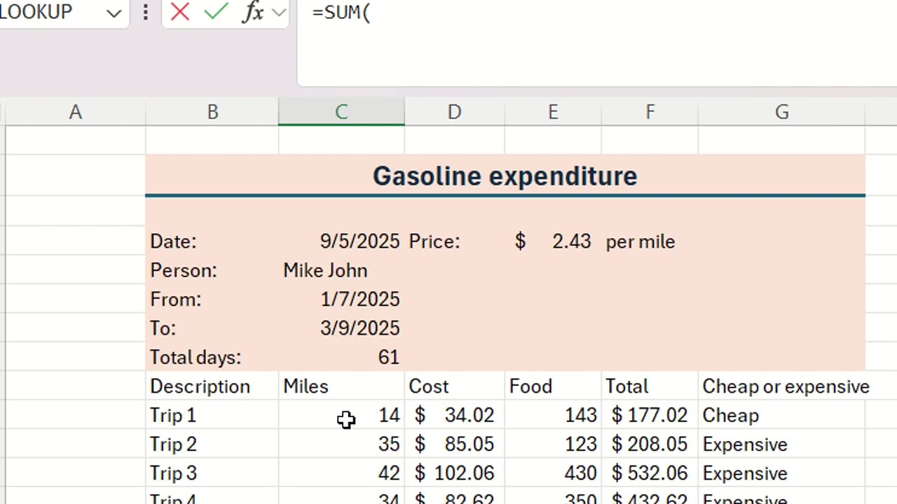 Microsoft Excel - Using some basic functions and formula: IF, SUM, PROPER and change number format