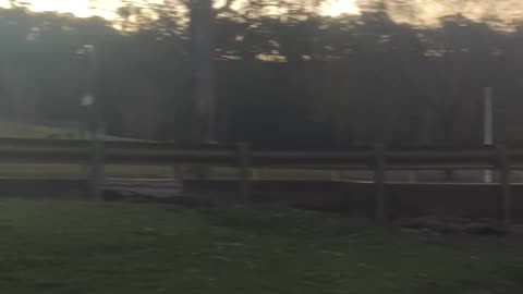 Fresh water fishing spots