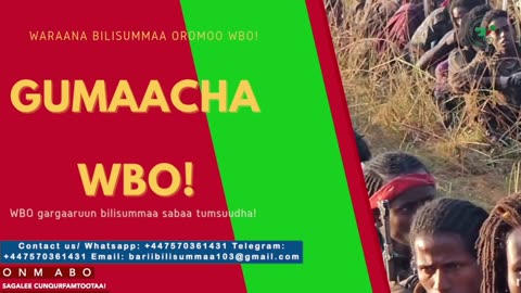 Gabaasa Gumaacha ONM-ABO Fulbaana 22-2025 itti dhiyaadhaa!