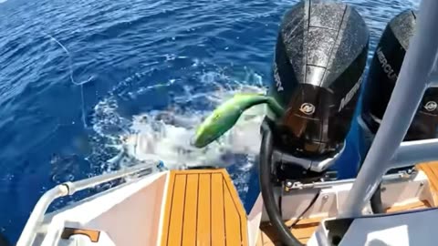 Extreme Deep Sea Fishing Adventure: Catch, Clean & Cook Challenge