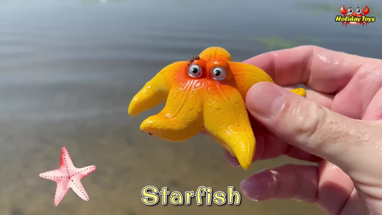 Goblin Shark Eyes Yellow Duck for Dinner in Deep Sea