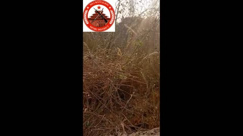 🔥🛡️ Myanmar War | Anti-Junta PDF Groups Clash with Militias in Magway Region | RCF