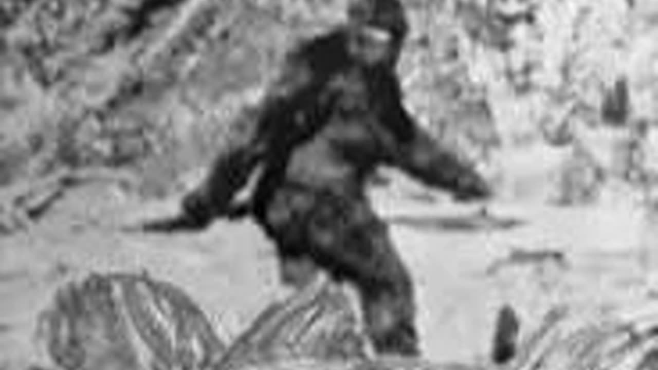 Daniel Barnett Bigfoot Researcher